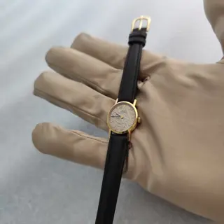 Omega Geneve Rare Gold Marble Dial Ref 5110411 Cal.620 Manual Winding Ladies Watch $200