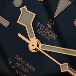 Tudor Black Bay 79220N Smiley Dial | Good Condition (Box, Tags, Papers, Bill Included) | $2750
