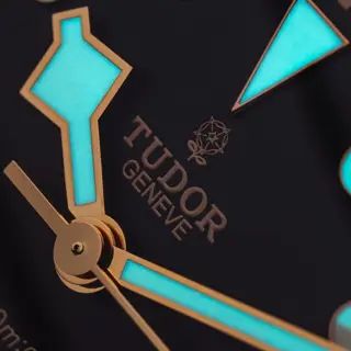Tudor Black Bay 79220N Smiley Dial | Good Condition (Box, Tags, Papers, Bill Included) | $2750