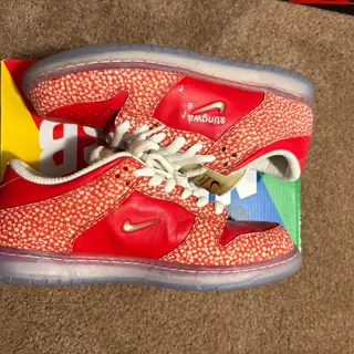 Nike SB Dunk lows Stingwater magic mushroom SZ 9.5 used $230