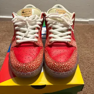 Nike SB Dunk lows Stingwater magic mushroom SZ 9.5 used $230
