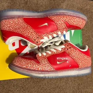 Nike SB Dunk lows Stingwater magic mushroom SZ 9.5 used $230