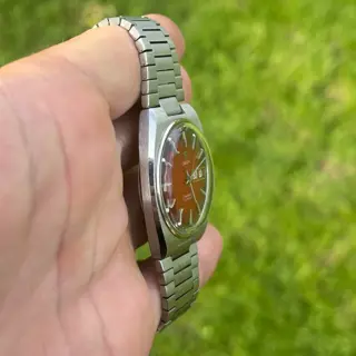 Omega Seamaster 166.0213 $1300