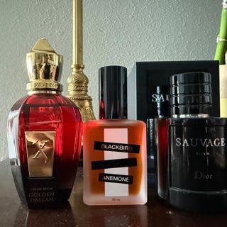 **PRICES LOWERED** Xerjoff Golden Dallah, Blackbird Anemone, Dior Sauvage Elixir (Bottle)