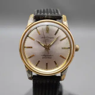 Vintage 1964 Seiko Champion 850 Diashock 85899 Alpinist Mechanical Watch - $250