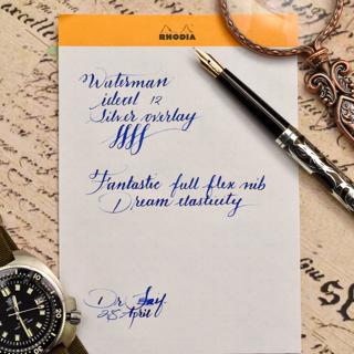 Gorgeous vintage Waterman 12 Silver Overlay Full Flex Super Springy 14C Gold nib
