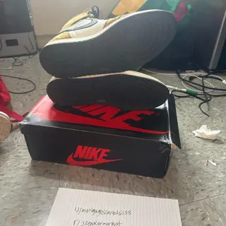 Size 14 Jordan 1 High Rookie of the Year