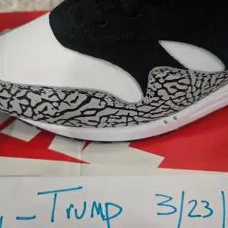 VNDS Nike Air Max 1 Atmos Elephant 2017 size 11 $700 obo