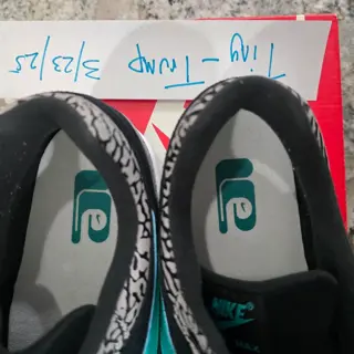 VNDS Nike Air Max 1 Atmos Elephant 2017 size 11 $700 obo