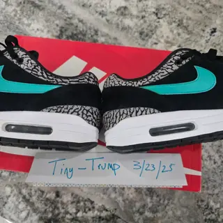 VNDS Nike Air Max 1 Atmos Elephant 2017 size 11 $700 obo