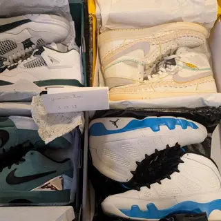 Dunk SBs/Jordans/undft Terra Humaras/etc