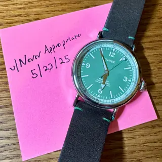 Timex Standard - $45