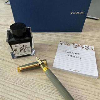 Sailor PGS Manyo Nuts [F] + Ink, Pilot VP/Capless Matte Black [EF]