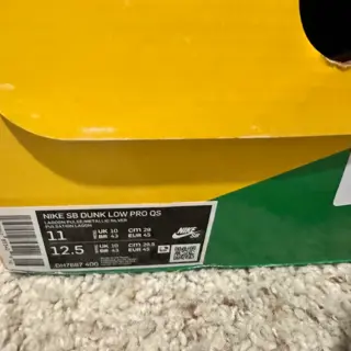 DS Nike SB Dunk FTC Lagoon Pulse size 11: $250 shipped and invoiced