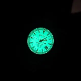 Seiko Alpinist GMT Perpetual Calendar Full Lume Dial SBCJ021 only for 899$ - Cheapest!