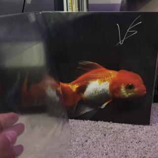 Vince Staples - Big Fish Theory (signed/numbered pic disc)