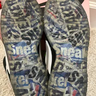 Nike Sb Dunk Low Panda Pigeon ( 11)