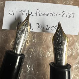 RESTORED Montblanc 149 Fine (Ebonite Feed) & Broad
