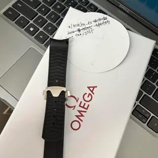 LNIB Omega SMP300 Deployant + Rubber strap