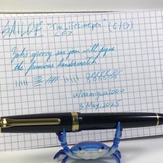 The Sailor “Lifetime Pen” in basic black <F> (C/D)