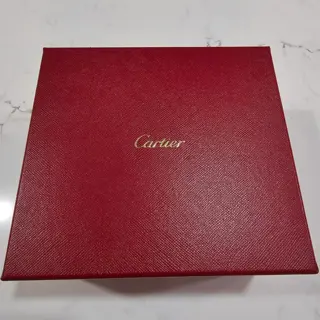 💚🔥2025 NEW CARTIER SANTOS MEDIUM BEAUTIFUL GREEN DIAL WSSA0061 UNWORN🔥💚