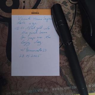 Visconti Homo Sapiens dark age 18k EF nib