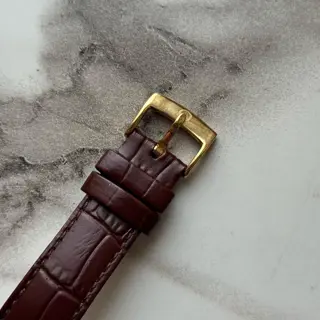Omega Geneve Beautiful Dial - 166.070 only for 699$ Shipped 🚢 Via FedEx
