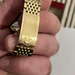 Omega Seamaster 166.042 Compressor Case