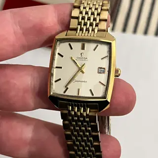 Omega Seamaster 166.042 Compressor Case
