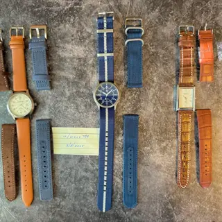 Timex | Seiko | Berny Titanium - outstanding condition, extra straps