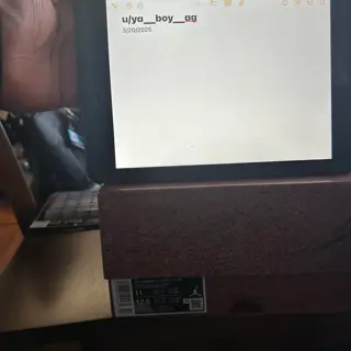 Air Jordan 4 x Nigel Sylvester size 11