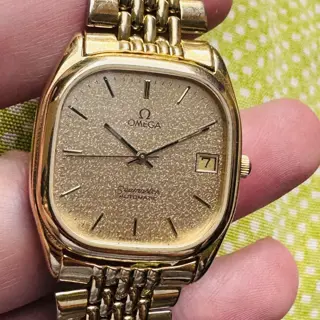 Omega Seamaster Stardust Dial REF 166.0282 Automatic Watch $650