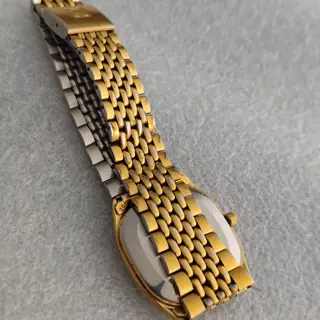 Omega Seamaster Stardust Dial REF 166.0282 Automatic Watch $650