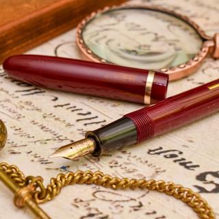 Beautiful vintage Waterman Champion GT 501 excellent 14C Gold Fine Semiflex Nib