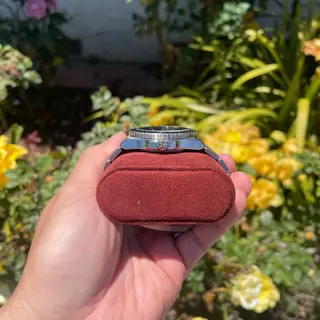 Monta OceanKing V2 Gilt NoDate