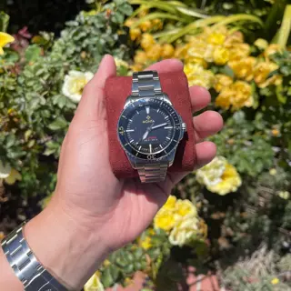Monta OceanKing V2 Gilt NoDate