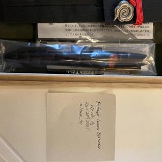 Platinum Izumo Byakudan, F nib, A2 condition