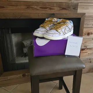 Nike SB Size 10.5
