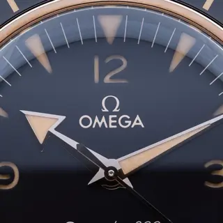 Omega Seamaster 300 Bronze Gold 41mm 234.92.41.21.10.001 – 2021 Complete Set