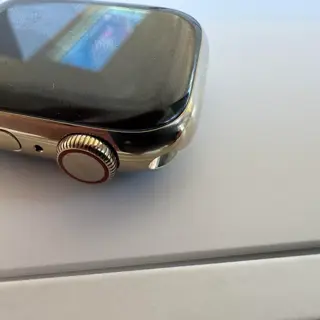 Apple Watch series 7 41 mm - Gold stainless steel Sapphire crystal