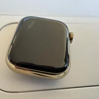 Apple Watch series 7 41 mm - Gold stainless steel Sapphire crystal