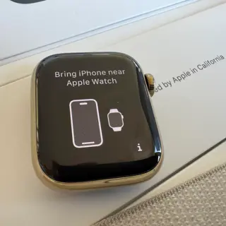 Apple Watch series 7 41 mm - Gold stainless steel Sapphire crystal