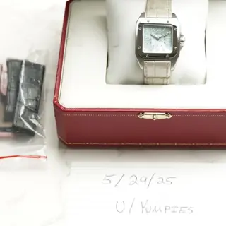 Cartier Santos 100 33mm W20132X8 Rare MOP Dial Model