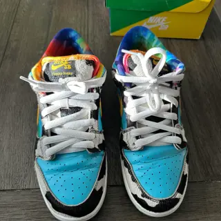 Nike SB Dunk Chunky Dunky Size 9