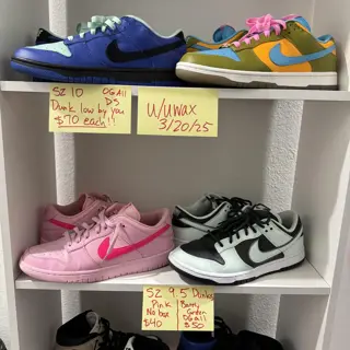 Dunks SZ 10 and SZ 9.5 DS and Used | Check pic for info