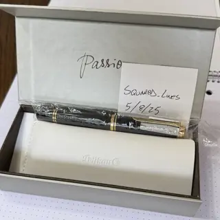 Pelikan M1000, Black Body, F Nib