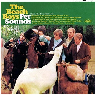 Beach Boys, The Beatles, David Bowie, Johnny Cash, Leonard Cohen, Cowboy Junkies, Dead Kennedys, FKA Twigs Signed, John Lennon, Fred Neil, Harry Nilsson, Nirvana, Lou Reed, Marty Robbins, Sonic Youth, Gabor Szabo, Talking Heads, West Coast Pop Art Experimental Band, Neil Young, Steve Youn