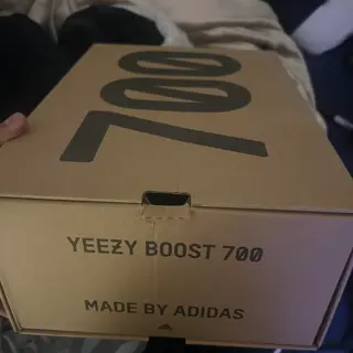 Yeezy 700 inertia 260 shipped