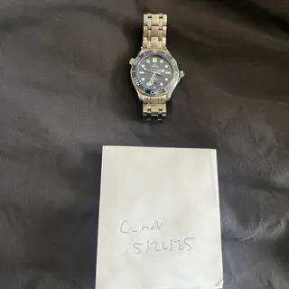 Omega Seamaster Professional Ref: 210.30.42.20.03.001