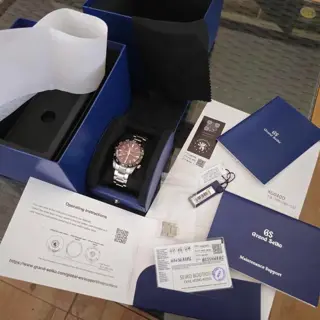 Grand Seiko SBGE305 GMT Cal 9R 20th Anniversary LE 2024 - $5,200